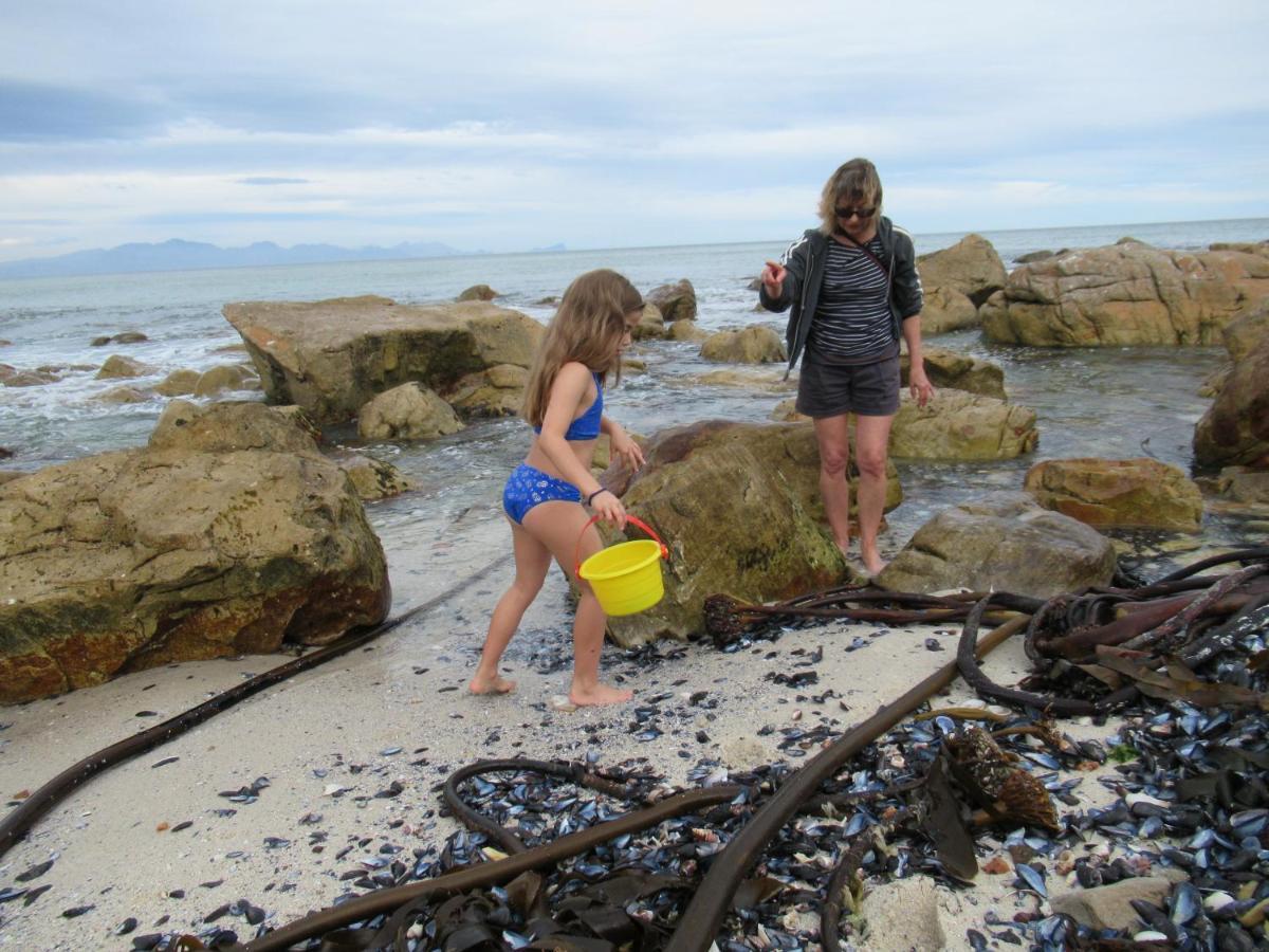 Royal@Sea2 Hotell Muizenberg Eksteriør bilde